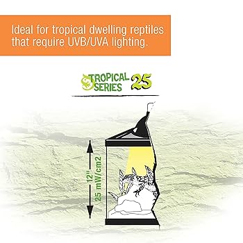 Amazon.com: R-Zilla SRZ100011869 Tropical 25 UVB Reptile